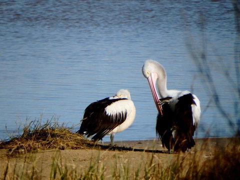 Lazy Lobster Holiday Units & Chalets - Holiday Find 5