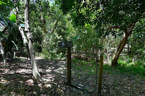 Barefoot Bungalow Castaways Beach - Holiday Find 6