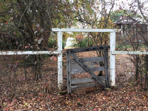 Historic Oak Hill House Estate Truffle Gourmet Festival Region - Holiday Find 2