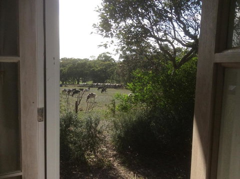 Aashay B & B - Holiday Find 3