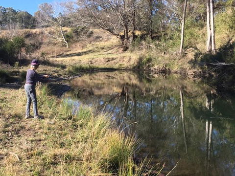 Farringdon Homestead - Holiday Find 3