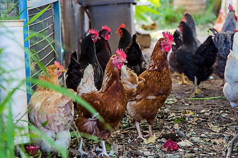 Destinys Run Retreat - Holiday Find 1