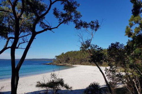 Excellent St. Granny Flat - Holiday Find 6