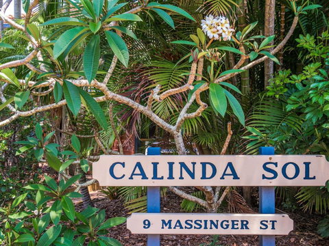 Calinda Sol 12 - Holiday Find 3