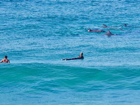 Beach Front Bliss - Holiday Find 3