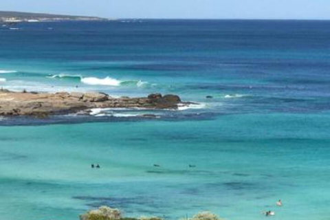 Orion Studio With Ocean Views - Holiday Find 3