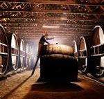 Pieter van Gent Winery  Vineyard - Holiday Find