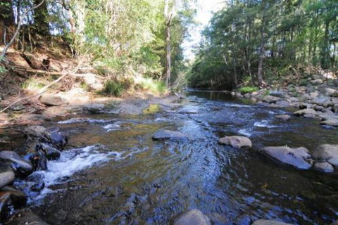 Willabrook Retreat Mojo Cottage Romantic Escape! - Holiday Find 5