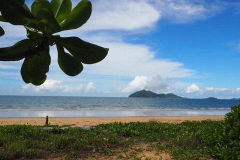 Driftwood - Holiday Find 4