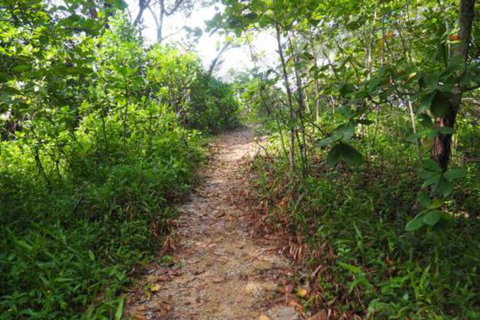 Driftwood - Holiday Find 2