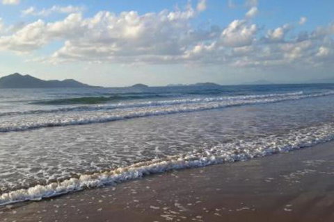 Driftwood - Holiday Find 6