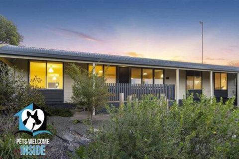 Retro Groovy Pad Pt Elliot - Holiday Find 4