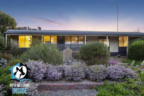 Retro Groovy Pad Pt Elliot - Holiday Find 5