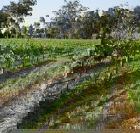 Renovated Cottage Aberdare Hunter Valley - Holiday Find