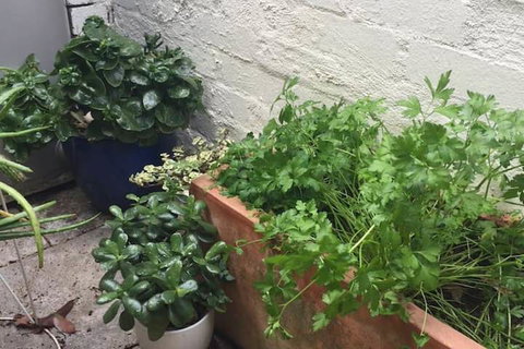 Charming Cottage With Leafy Courtyard - Holiday Find 7