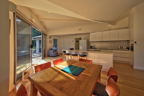 Driftwood - Holiday Find 4