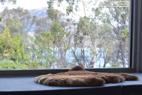 Driftwood - Holiday Find 0