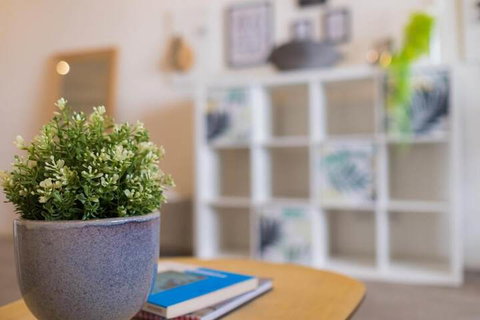 Willis Wolli Crk 52 - Holiday Find 5