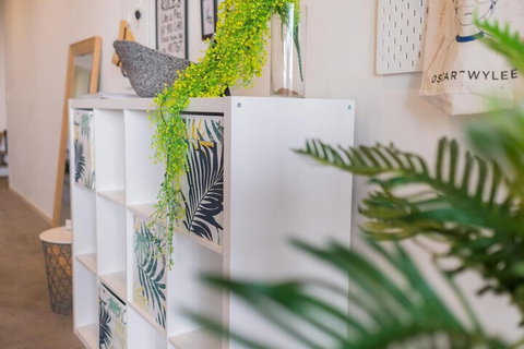 Willis Wolli Crk 52 - Holiday Find 6