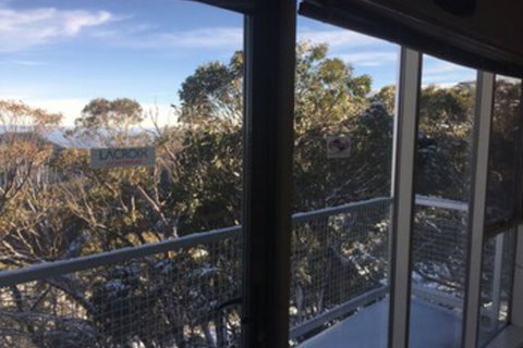 Elkhorn 9 - Holiday Find 0