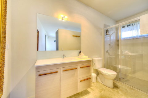 Oystercatcher - Holiday Find 1