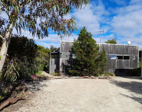 Oystercatcher - Holiday Find 0