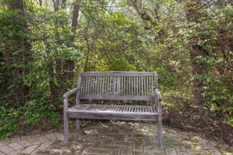 Havys Home - Holiday Find 0