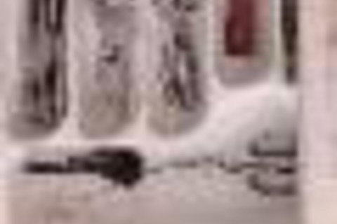 Entire Cozy Flat On Kent Darling Harbour CBD - Holiday Find 4