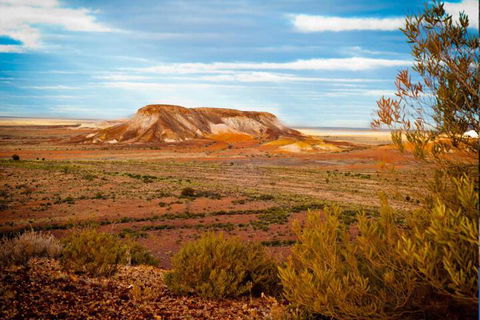 Alis Underground - Holiday Find 2