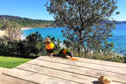 Yallumbee - Holiday Find 3