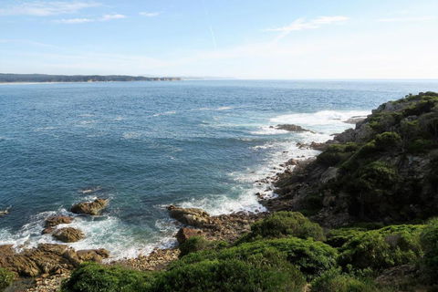 Tathra Hotel & Motel - Holiday Find 5