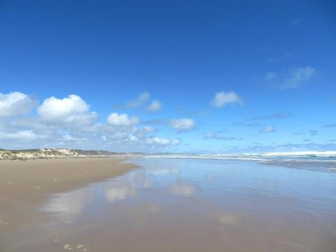 Arthur Riverfront & Sea Lodge Downstream - Holiday Find 0