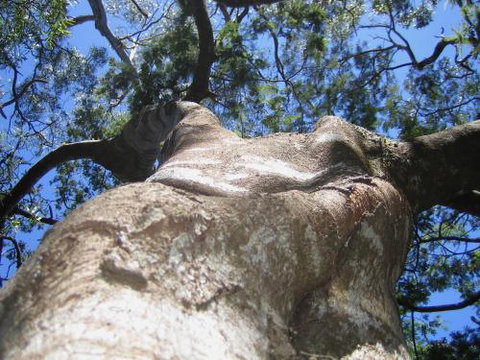 Arthur Riverfront & Sea Lodge Downstream - Holiday Find 4