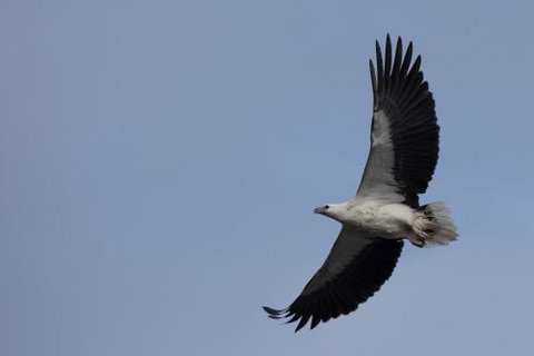Arthur Riverfront & Sea Lodge Downstream - Holiday Find 6