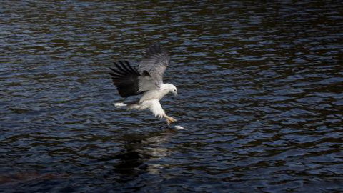 Arthur Riverfront & Sea Lodge Downstream - Holiday Find 3