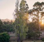 Karribank  the Karri on Bar - Holiday Find