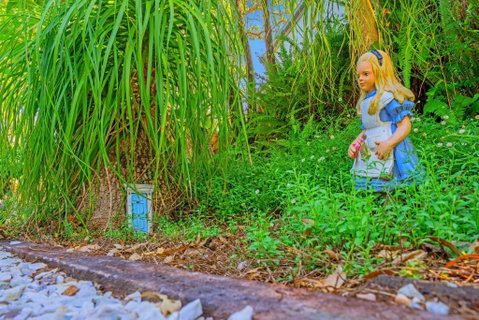 Cloud 9 Cliff Top Eagle Heights - Holiday Find 5