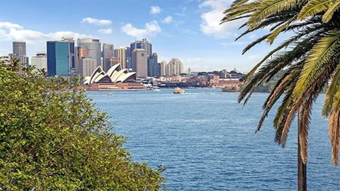 Modern Apartment With Sydneys Finest Views CP308 - Holiday Find 5