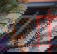 Pagoda Resort  Spa - Holiday Find