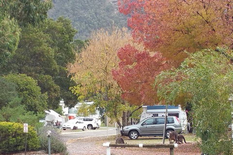 Breeze Holiday Parks - Halls Gap - Holiday Find 5