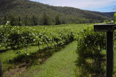 Cedar Creek Cottages - Holiday Find 2