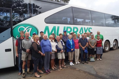 Motel Oasis - Holiday Find 2