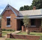 The Olives - Holiday Find