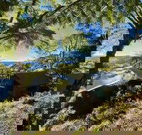 Binna Burra Rainforest Campsite - Holiday Find