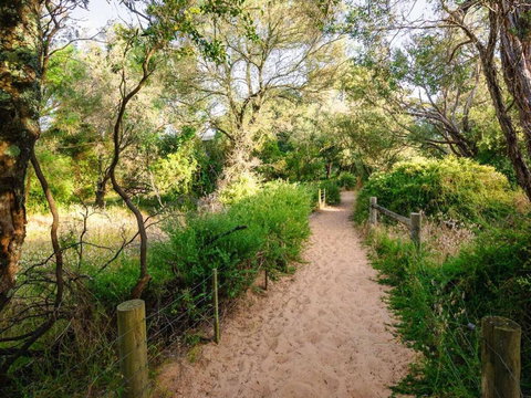 Retreat On Albert - Holiday Find 5