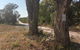 COONARR BEACH ( BUNDABERG )CAMPING - thumb 0