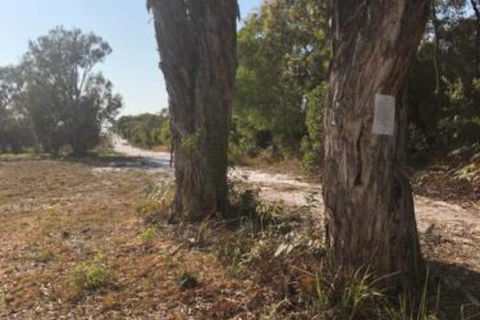 COONARR BEACH ( BUNDABERG )CAMPING - Holiday Find 0