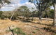 COONARR BEACH ( BUNDABERG )CAMPING - thumb 2