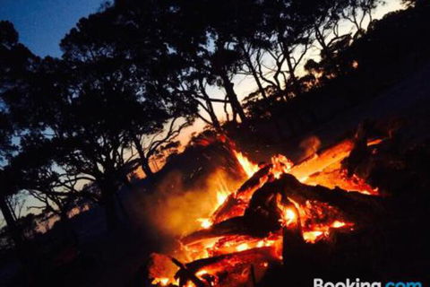 COONARR BEACH ( BUNDABERG )CAMPING - Holiday Find 3