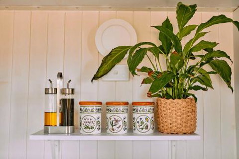 Drumour - Holiday Find 3